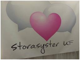 storasyster