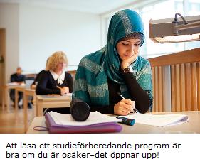 studiefrb